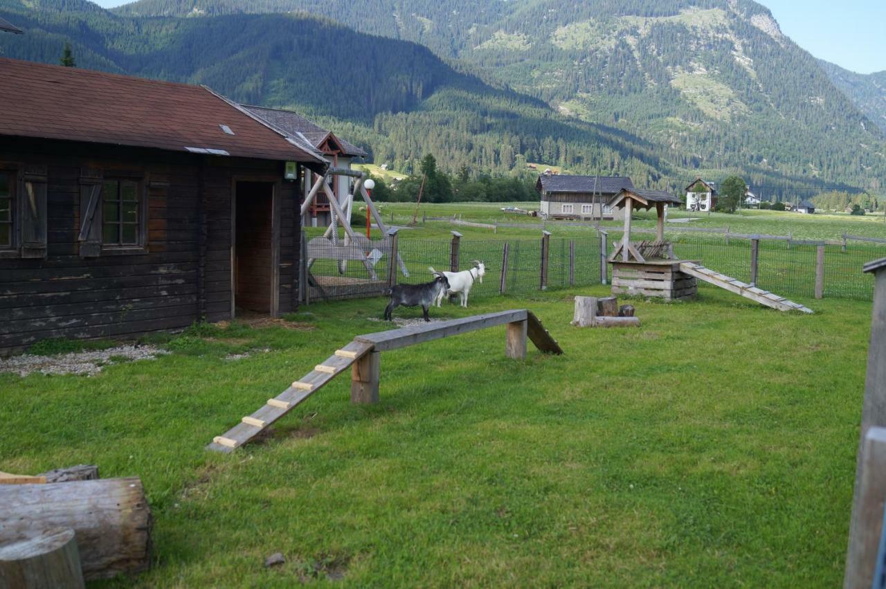 Hallstatt Dachstein Inn Gosau Exterior photo